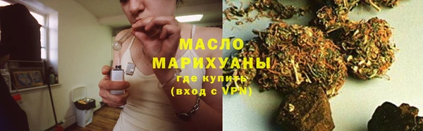 молекула духа Ельня