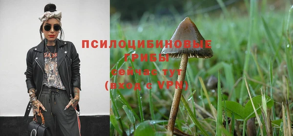 каннабис Алексеевка